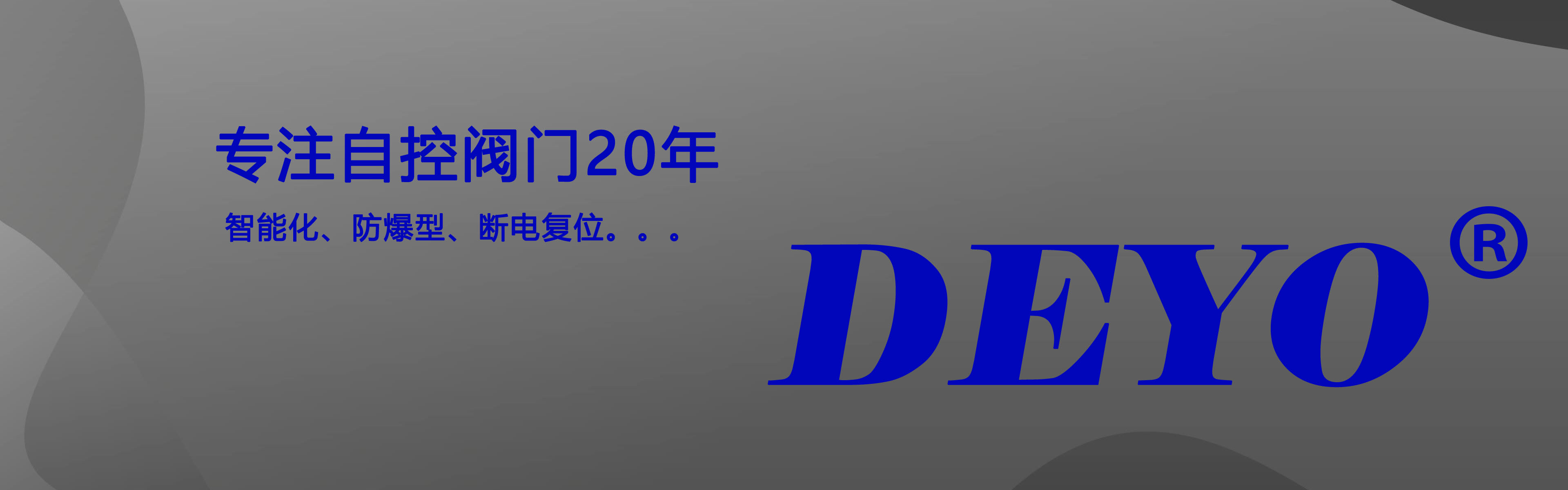 关于我们 - 树立品牌形象，规范行业标准，引领行业发展 - 苏州德扬阀门有限公司